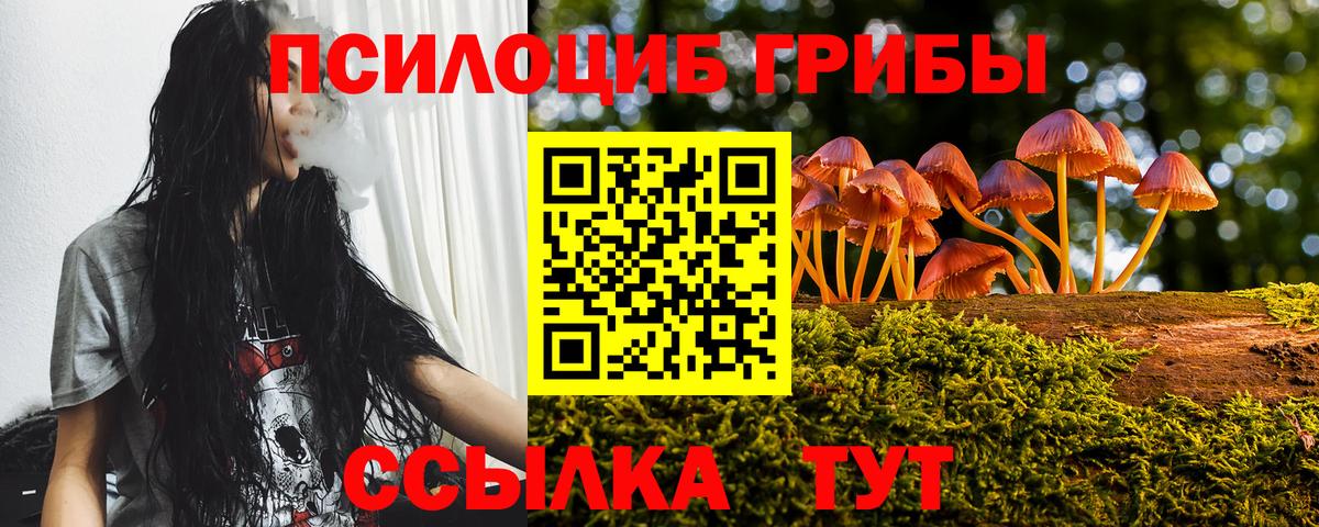 Апшеронск  Галлюциногенные грибы Psilocybe  Вход с VPN 